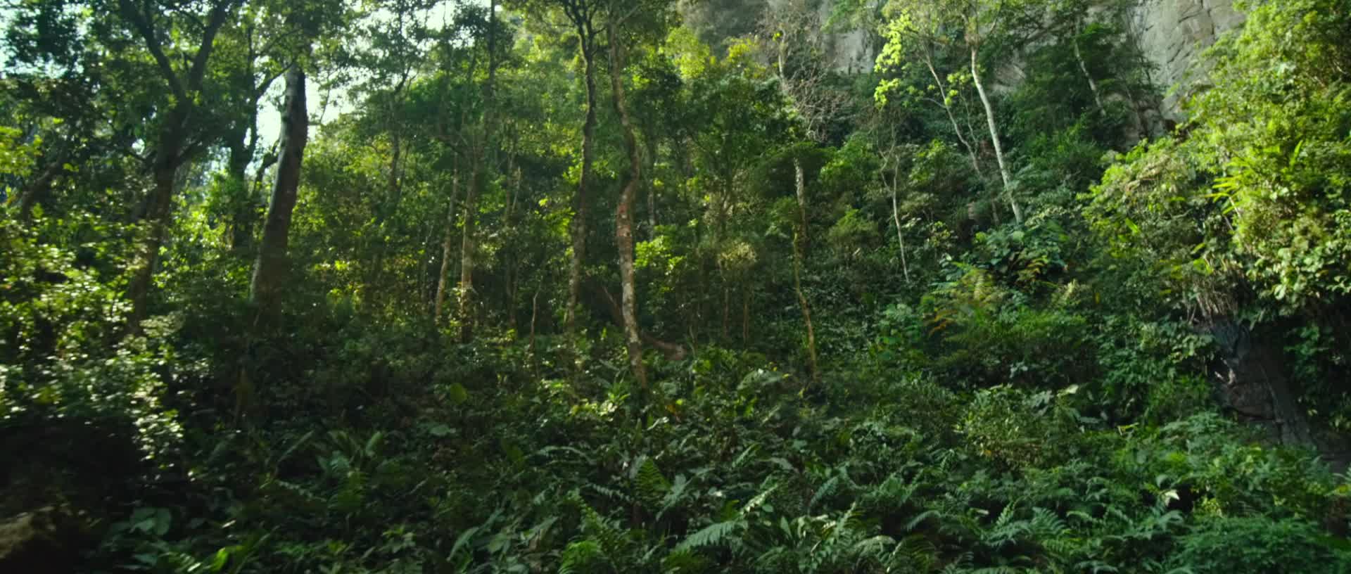 transformers-rise-of-the-beast.mov